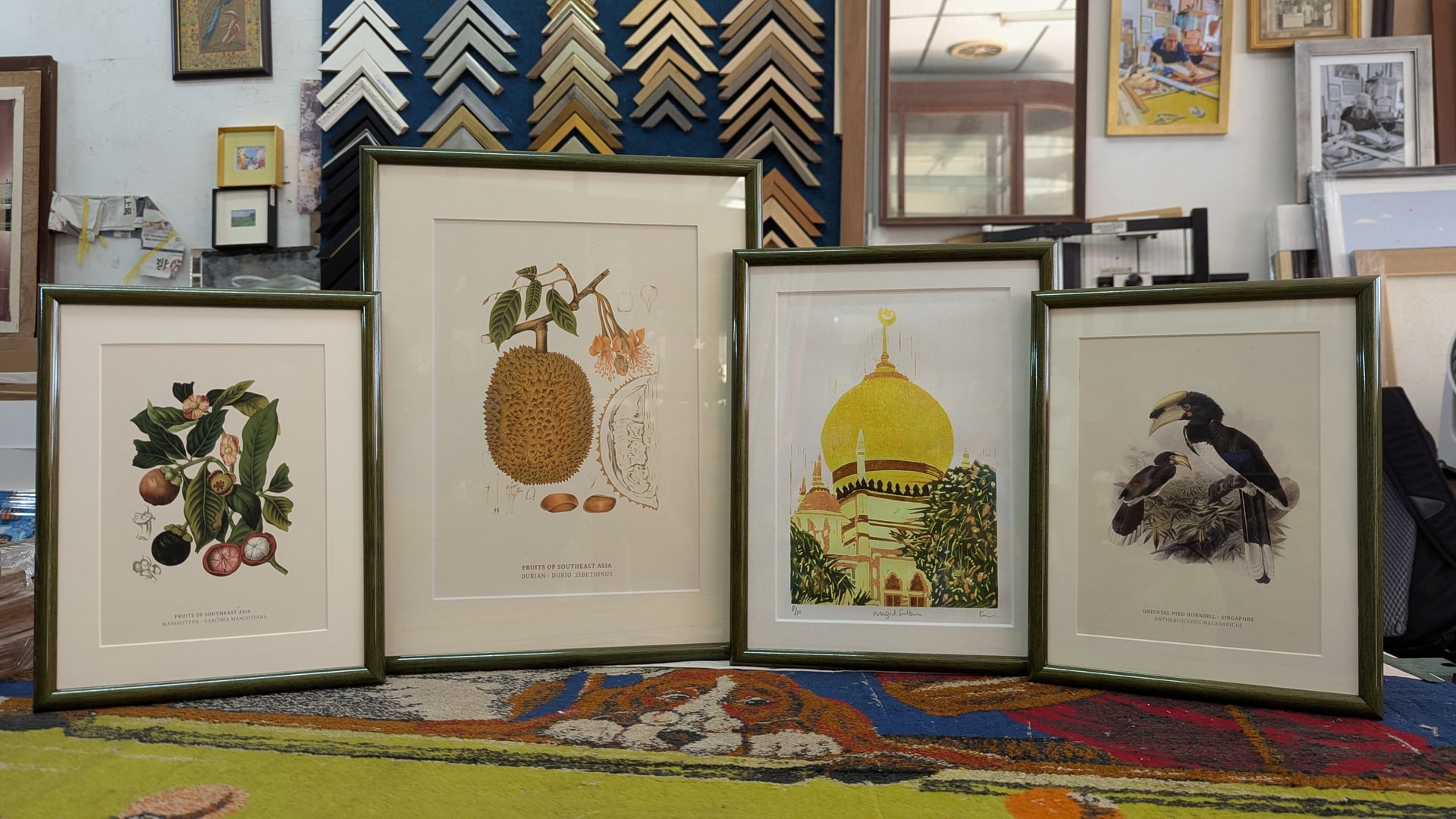 Singapore botanical heritage art framing - Local fruits and plants in green stained wood frame